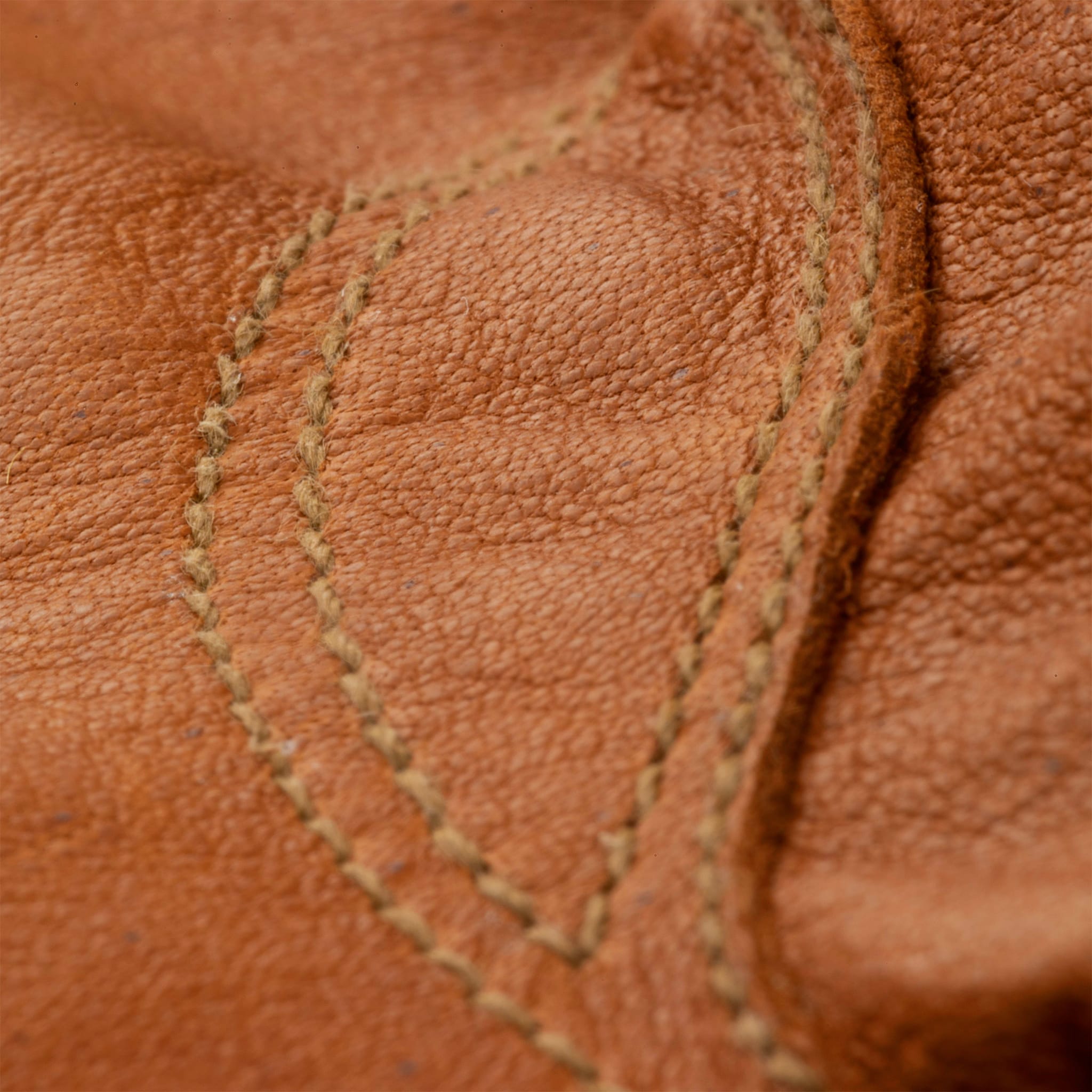 FR GLOVE 1.0